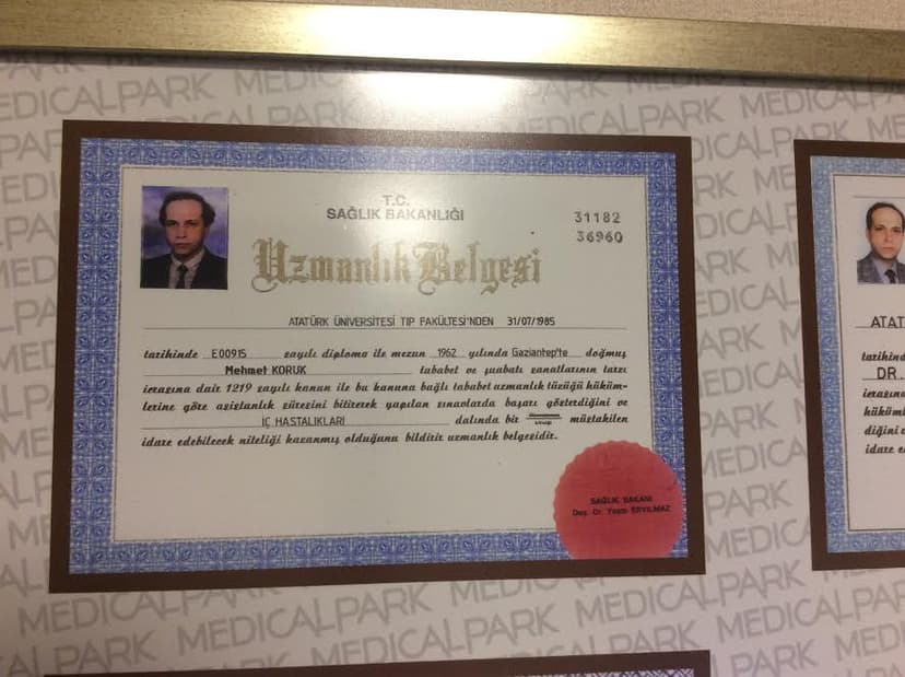 Uzmanlık Belgesi