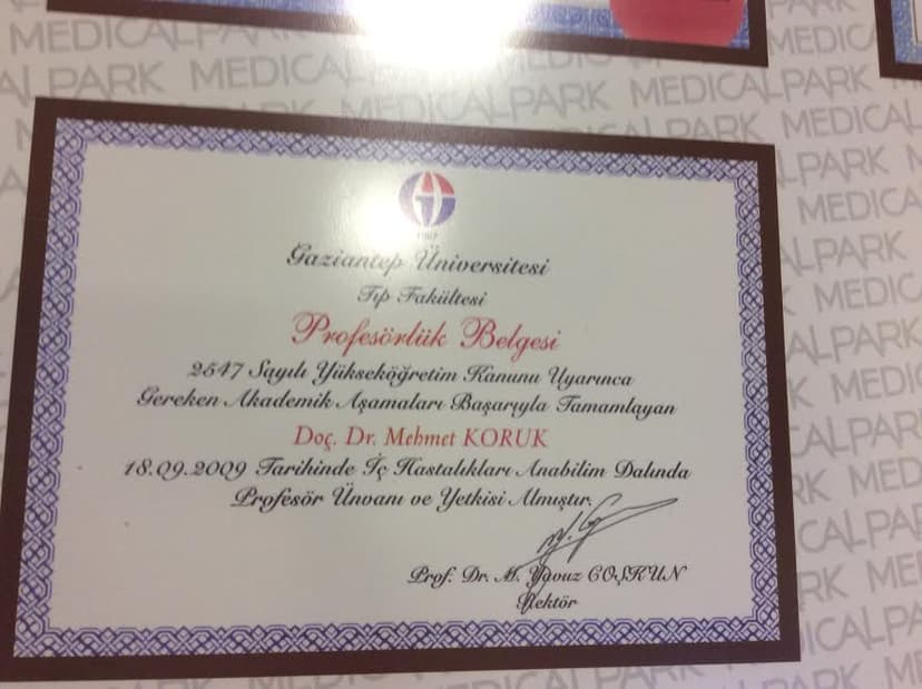Profesörlük Belgesi