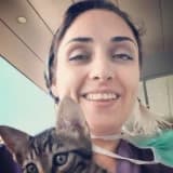 Op. Dr. Feyza Arman Profil Fotoğrafı