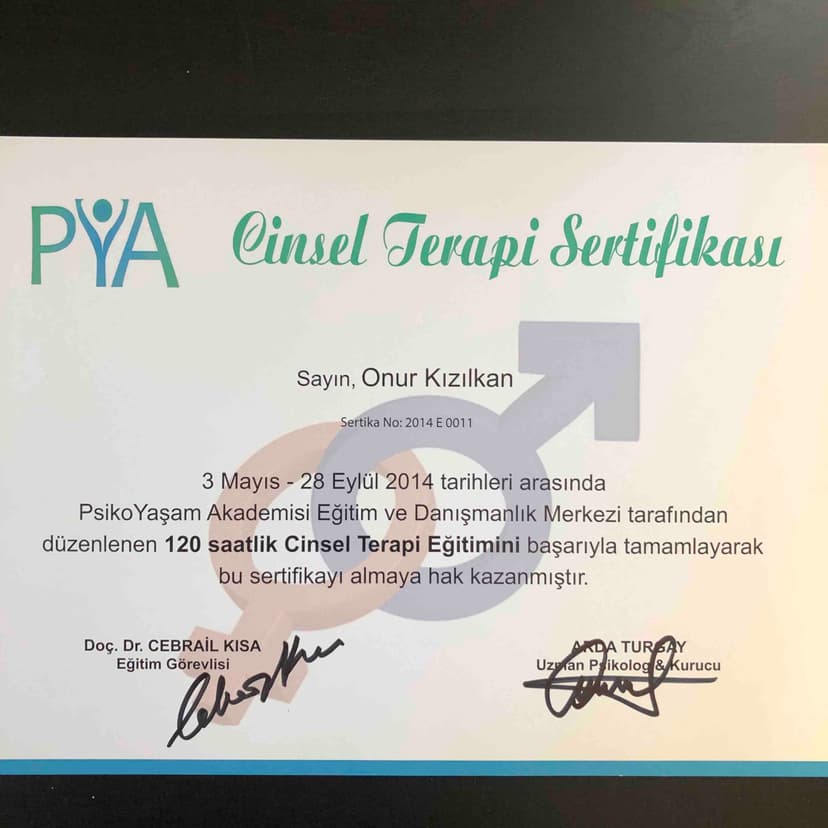 Cinsel terapi sertifikası