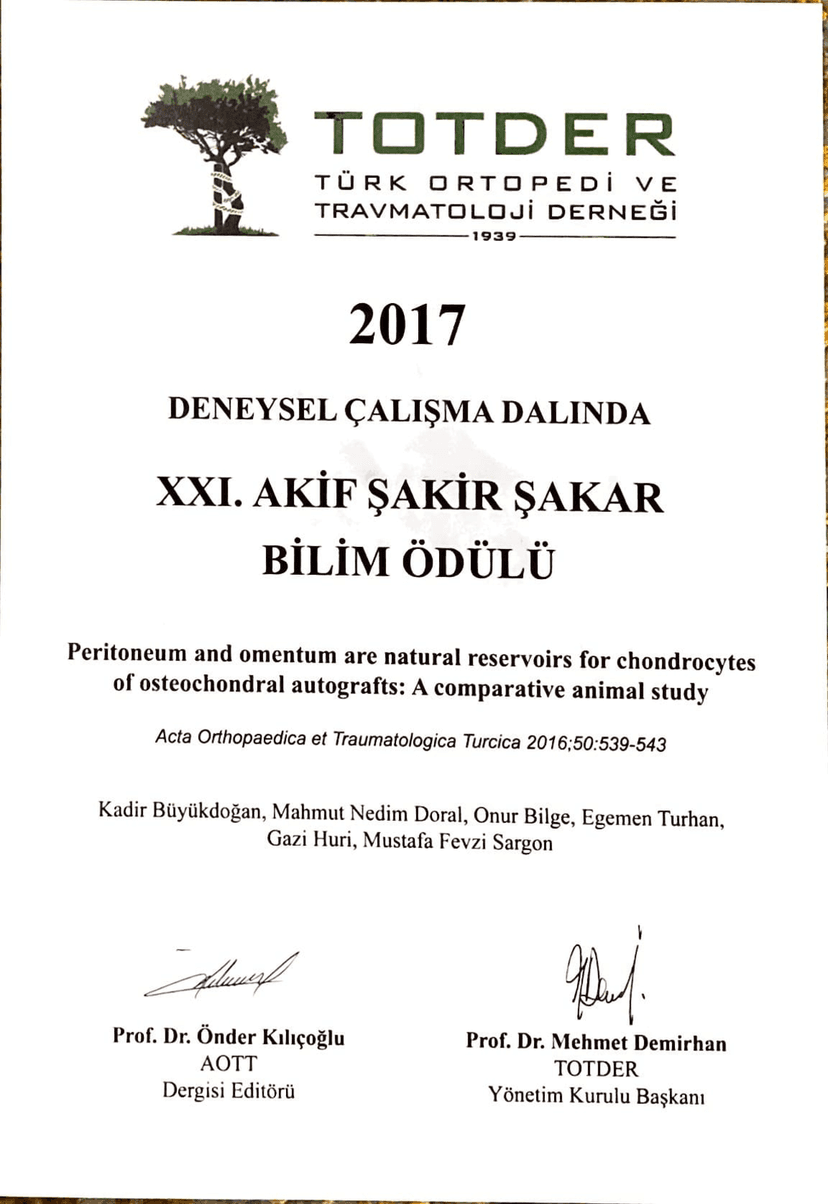 Sertifika