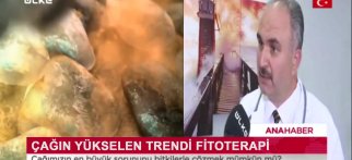 Youtube - Ülke Tv Ana Haber Dr. Hakan Özkul Fitoterapi 24 Temmuz 2020
