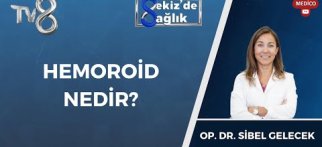 Hemoroid Nedir? | Op. Dr. Sibel Gelecek | 8'de Sağlık